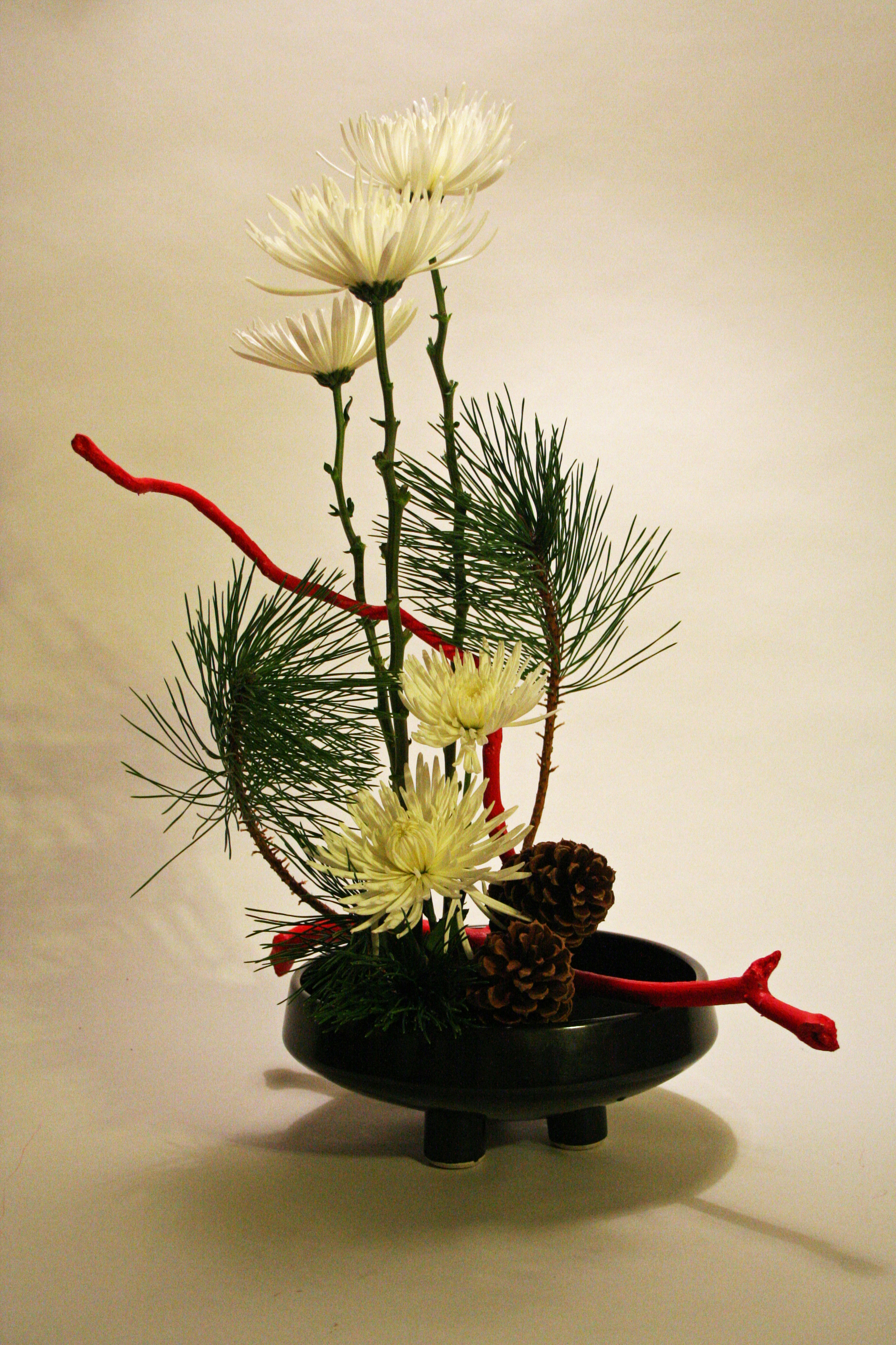 Christmas ikebana with chrysanthemums and pine  KEITH STANLEY