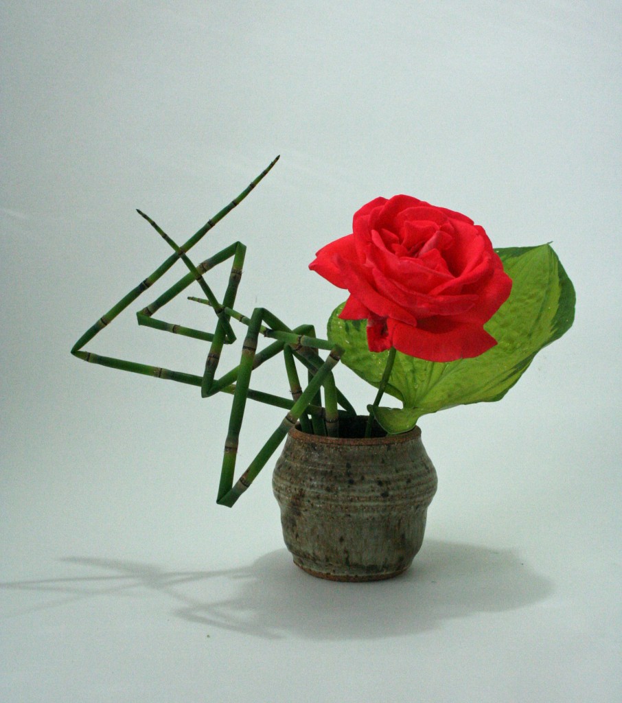 Tropicana rose, hosta leaf and manipulated equisetum
