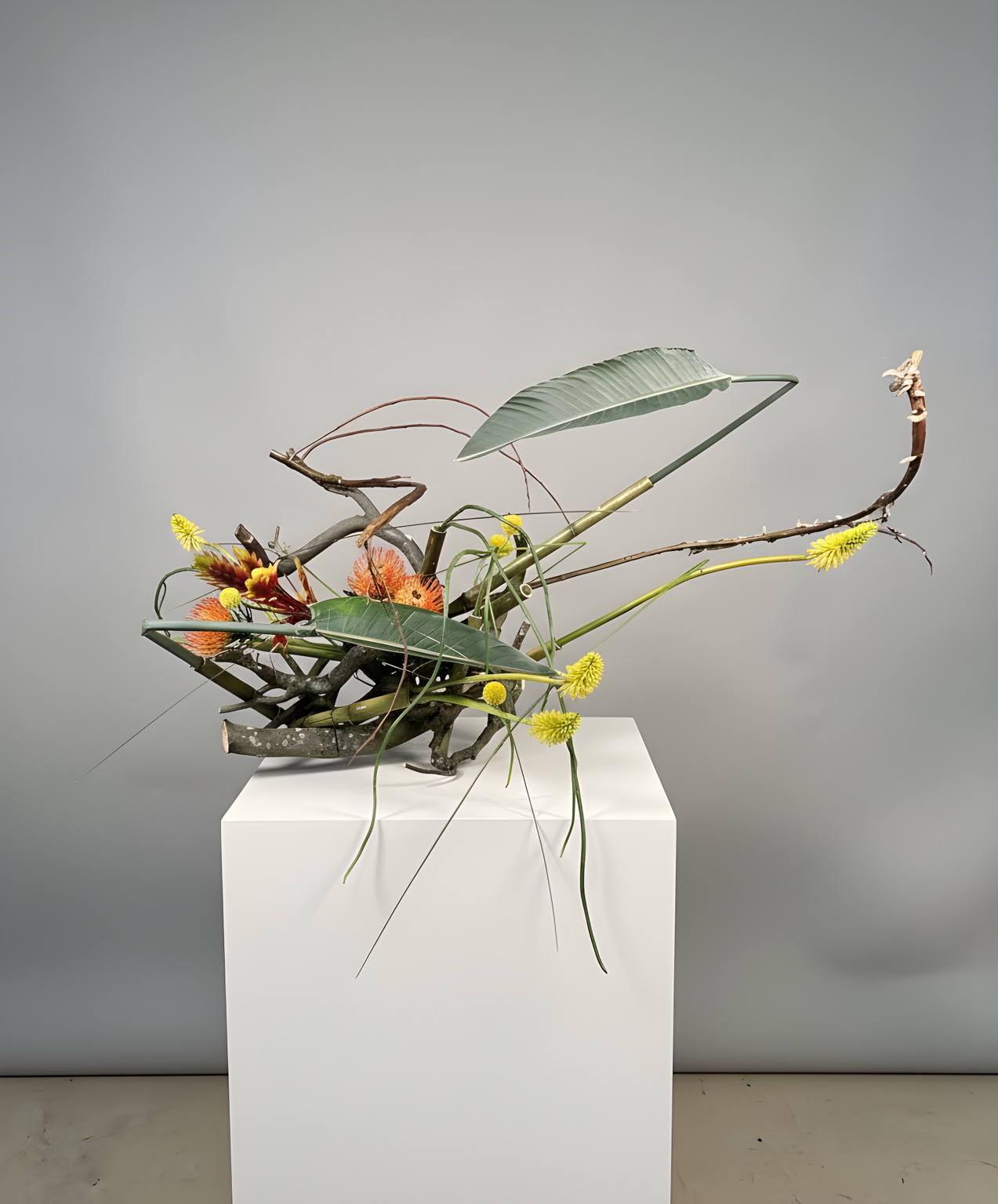 Playful, a sculptural botanical work by Keith Stanley