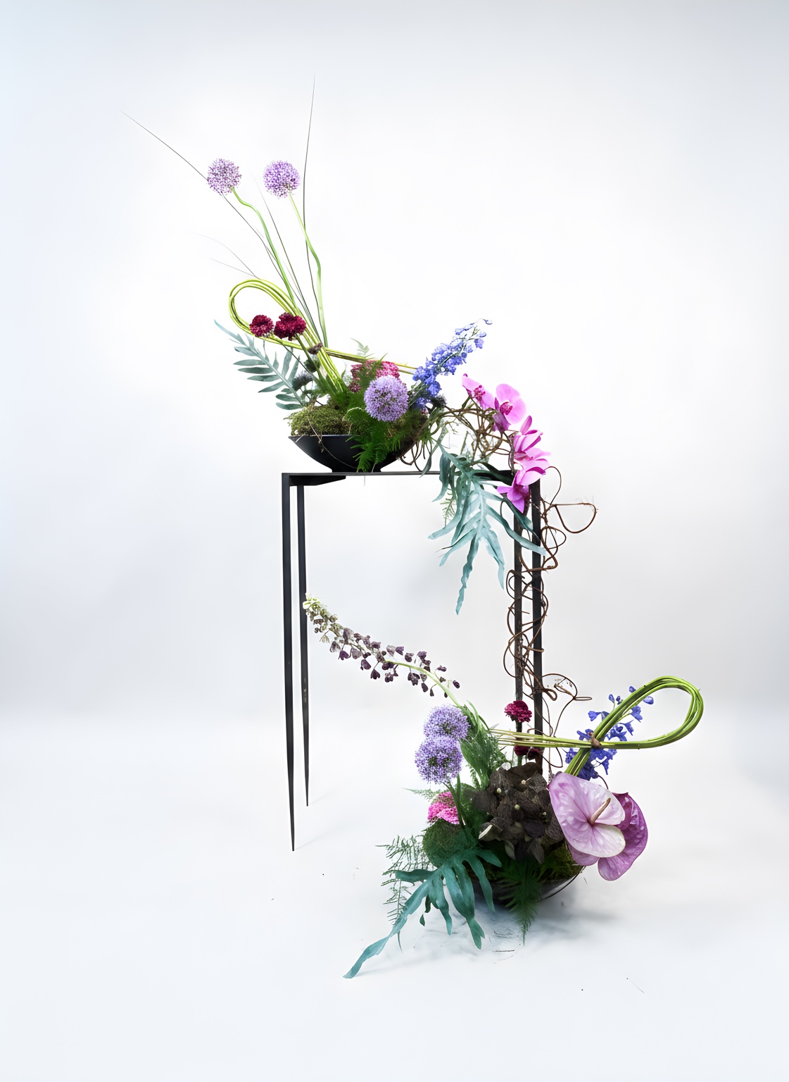 IMF+ Surprise Package, a sculptural botanical work by Keith Stanley