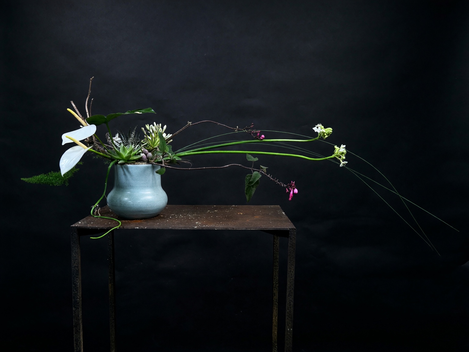 Sculptural botanical composition in a blue-gray vessel with white flowers, branching lines, and long green stems across a black background