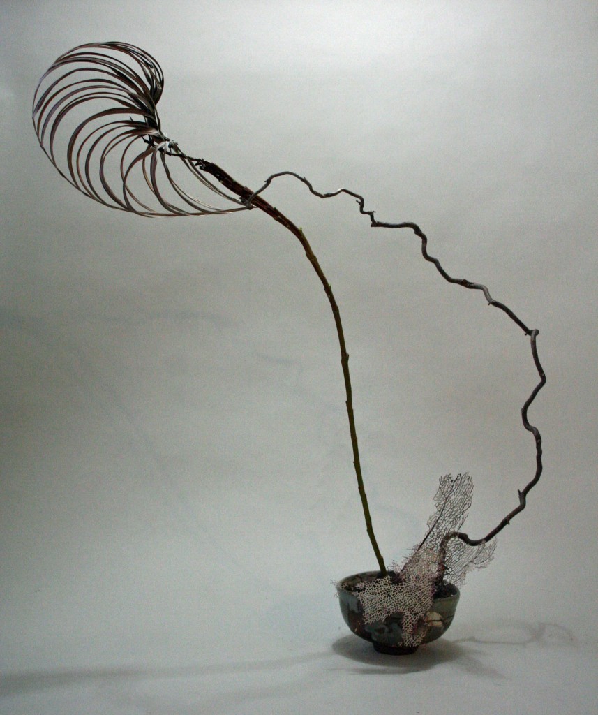 Dried manipulated palm, fasiated willow, contorted filbert and dried sea fan