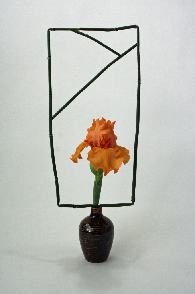 Manipulated Equisetum and Orange Iris
