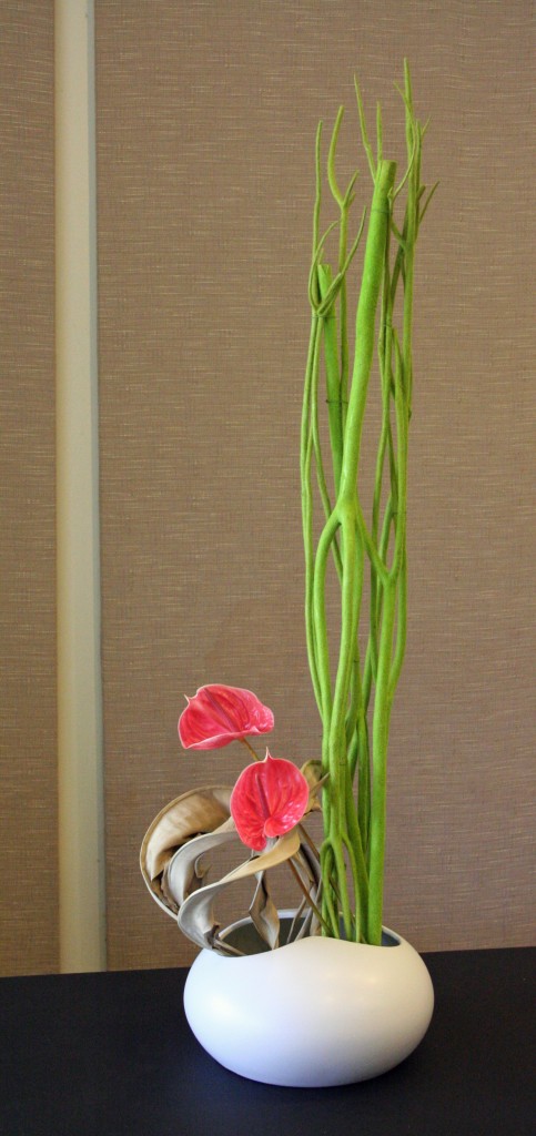Flocked Mitsumata Branches, Anthurium and Dried Strelitzia Leaves