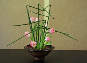 Fringed Pink Tulips and Equisetum